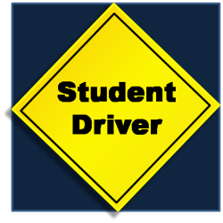 Illustration for article titled How To Drive A Stick Shift In Ten Easy Steps